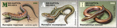 #1106-1108 Belarus - Reptiles: Lizards, Set of 3 (MNH)