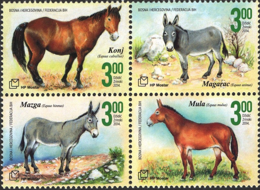 #310 Bosnia (Croat) - Farm Animals, Block of 4 (MNH)