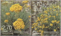 #363 Bosnia (Croat) - Flora: Helichrysum Italilcum, Horiz. Pair (MNH)