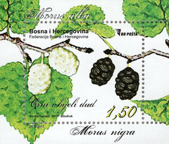#790 Bosnia (Muslim) - Flora: Morus Alba and Morus Nigra S/S (MNH)