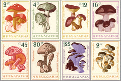 #1183-1190 Bulgaria - Mushrooms, Imperf. (MNH)