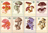 #1183-1190 Bulgaria - Mushrooms, Imperf. (MNH)