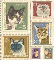 #1588-1593 Bulgaria - Cats (MLH)