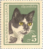 #1588-1593 Bulgaria - Cats (MLH)