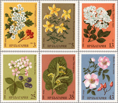 #2728-2733 Bulgaria - Medicinal Herbs (MNH)