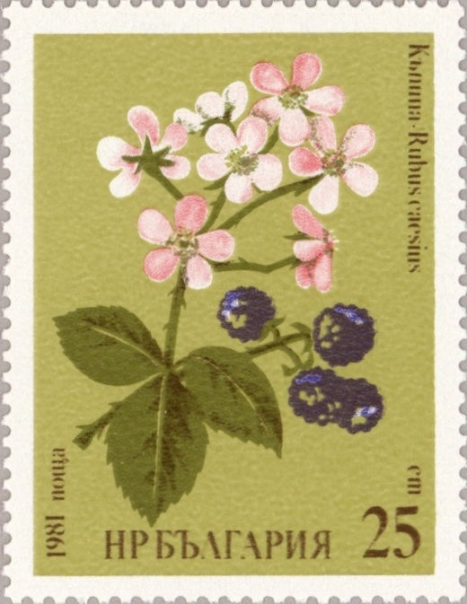 Poland 1963 Fight Against Hunger Stamps - Complete Set 1371-1373, MNH