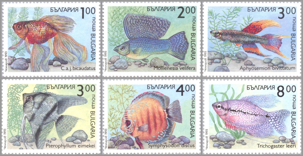 bulgarian wood carving boxes fish 3766-3771 Bulgaria - Fish (MNH) – Eastern Europe Postage Stamps