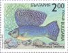 #3766-3771 Bulgaria - Fish (MNH)