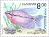 #3766-3771 Bulgaria - Fish (MNH)
