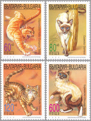 #4032-4035 Bulgaria - Cats, Set of 4 (MNH)