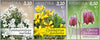 Croatia - #1171-1173 - Flowers (MNH)