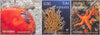 #1163-1165 Croatia - Undersea World IV (MNH)