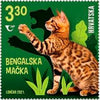 Croatia - 2021 Children's World: Cats III, Set of 4 (MNH)