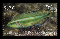 #1001 Croatia - Ocellated Wrasse (MNH)