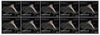 #1028a-1030a Croatia - Fauna: Bats, Complete Booklet (MNH)