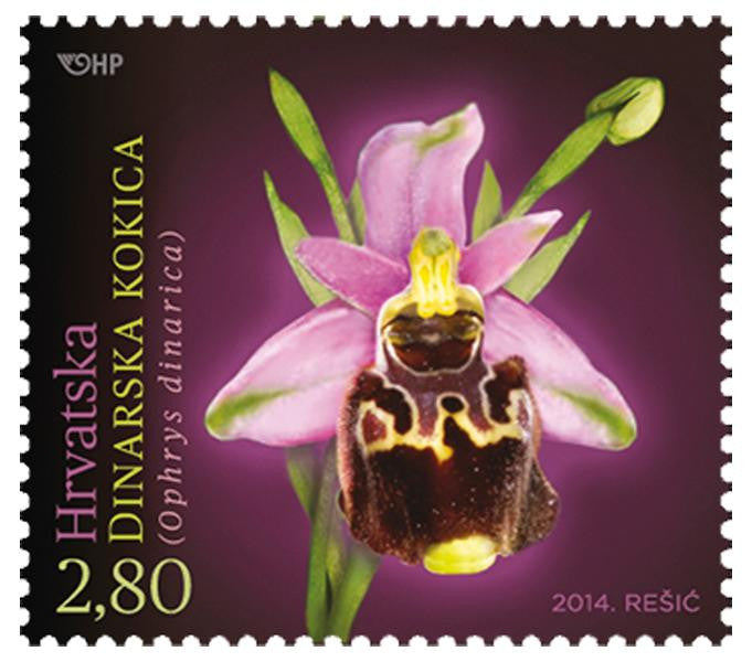 #903-905 Croatia - Orchids (MNH)