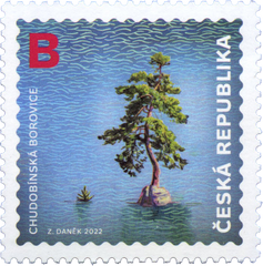 Czech Republic - 2022 Nature Protection: Chudobin Pine Tree  (MNH)