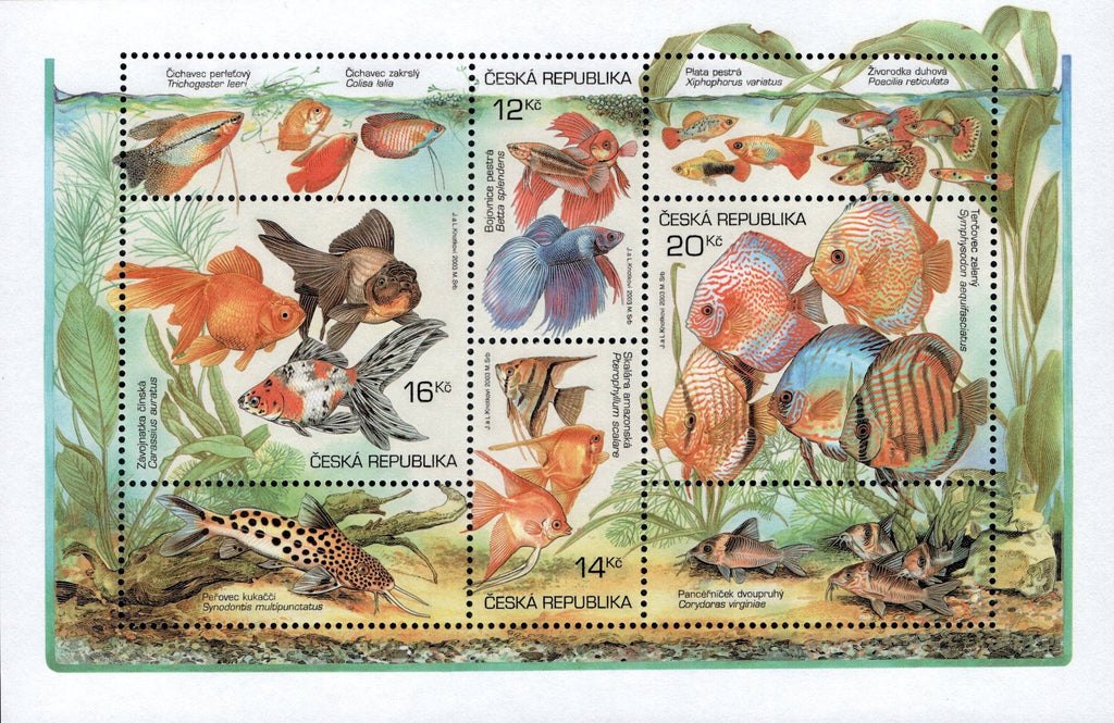 #3210 Czech Republic - Tropical Fish S/S (MNH)