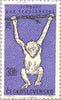 #1111-1116 Czechoslovakia - Zoo Animals (MNH)