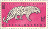 #1111-1116 Czechoslovakia - Zoo Animals (MNH)