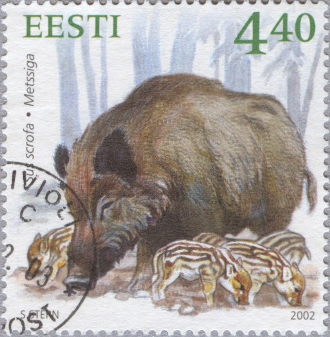#446 Estonia - Sus Scrofa (Wild Boar) (Used)