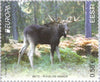 #670-671 Estonia - 2011 Europa: Intl. Year of Forests (MNH)