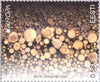 #670-671 Estonia - 2011 Europa: Intl. Year of Forests (MNH)