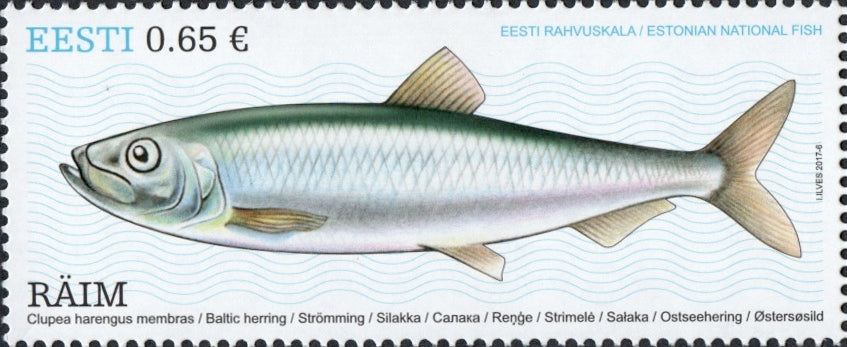 #836 Estonia - Baltic Herring (MNH)