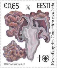 #873 Estonia - Mushrooms: Gyromitra Esculenta (MNH)