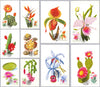 #1706-1715 Hungary - Flowers, Set of 10 Maximum Cards (Used)