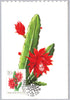 #1706-1715 Hungary - Flowers, Set of 10 Maximum Cards (Used)