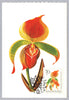 #1706-1715 Hungary - Flowers, Set of 10 Maximum Cards (Used)