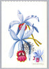 #1706-1715 Hungary - Flowers, Set of 10 Maximum Cards (Used)