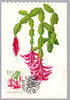 #1706-1715 Hungary - Flowers, Set of 10 Maximum Cards (Used)