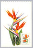 #1706-1715 Hungary - Flowers, Set of 10 Maximum Cards (Used)