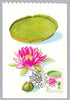 #1706-1715 Hungary - Flowers, Set of 10 Maximum Cards (Used)