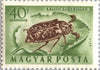#C136-C145 Hungary - Beetles, Set of 10 (MNH)