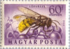 #C136-C145 Hungary - Beetles, Set of 10 (MNH)