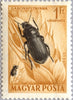 #C136-C145 Hungary - Beetles, Set of 10 (MNH)