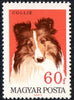#1835-1841 Hungary - Dogs, Set of 7 (MNH)
