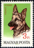 #1835-1841 Hungary - Dogs, Set of 7 (MNH)