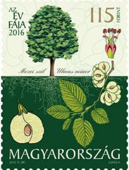 #4404 Hungary - 2016 Tree of the Year, Ulmus Minor (MNH)