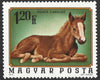 #2323-2329 Hungary - Young Animals (MNH)