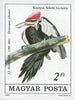 #2928-2931, C446-C447 Hungary - Audubon Birth Bicentenary, Birds Imperf (MNH)