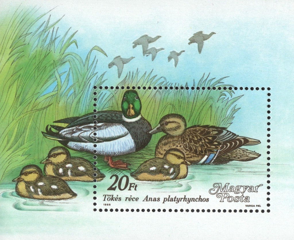 #3141 Hungary - Ducks S/S (MNH)