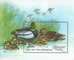 #3141 Hungary - Ducks S/S (MNH)