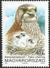 #3348-3351 Hungary - Protected Birds (MNH)