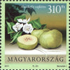 #4200-4201 Hungary - Fruit and Blossoms, Set of 2 (MNH)