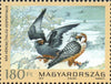 #4234-4237 Hungary - Protected Birds (MNH)