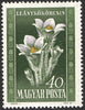 #906-910 Hungary - Flowers (MNH)